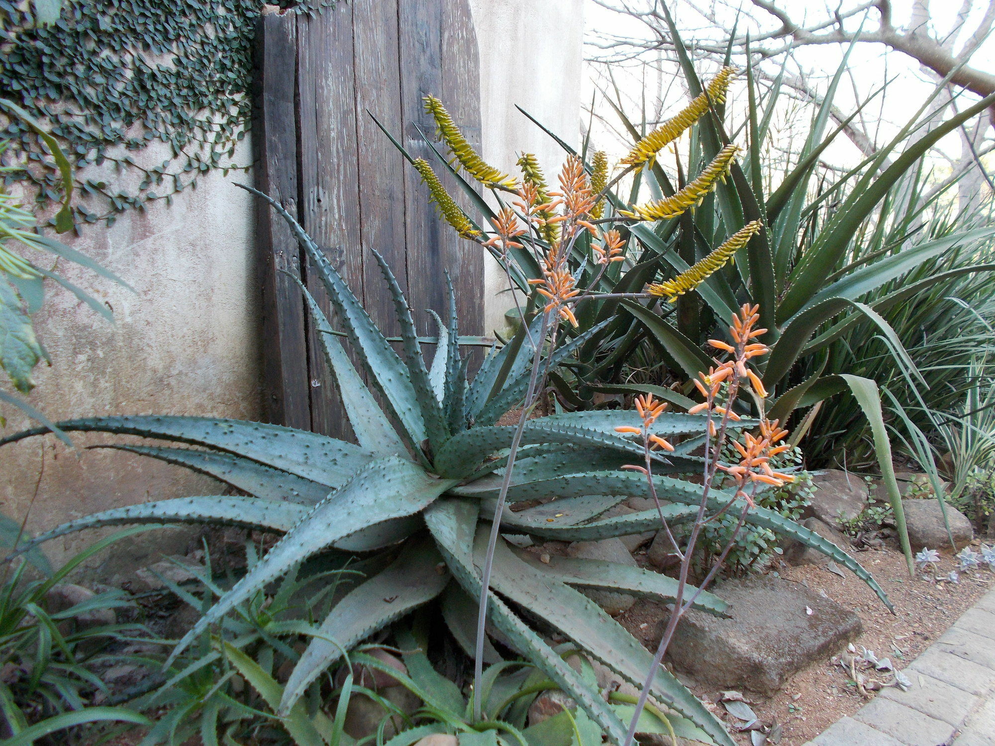 Sabie Self Catering Apartments Bagian luar foto